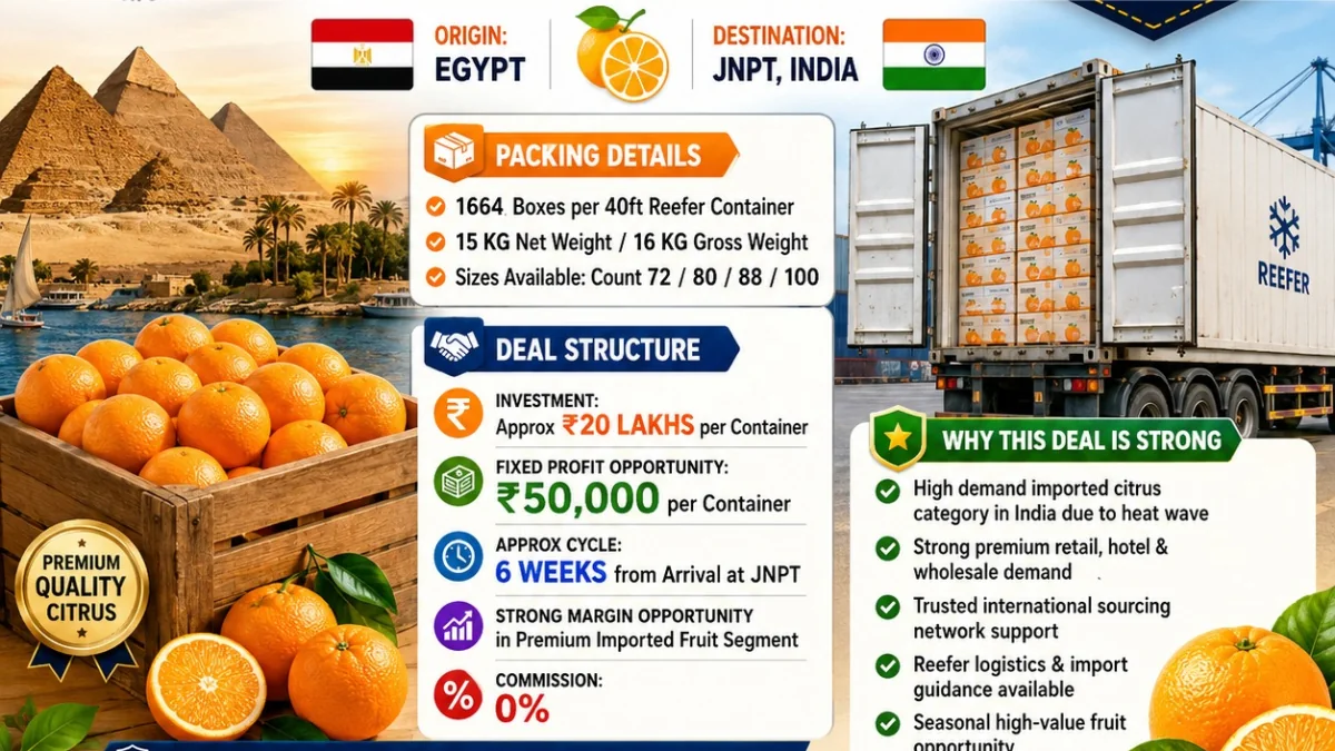 Egyptian oranges