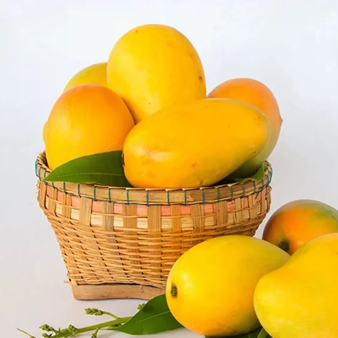  Organic Gir Kesar Mango