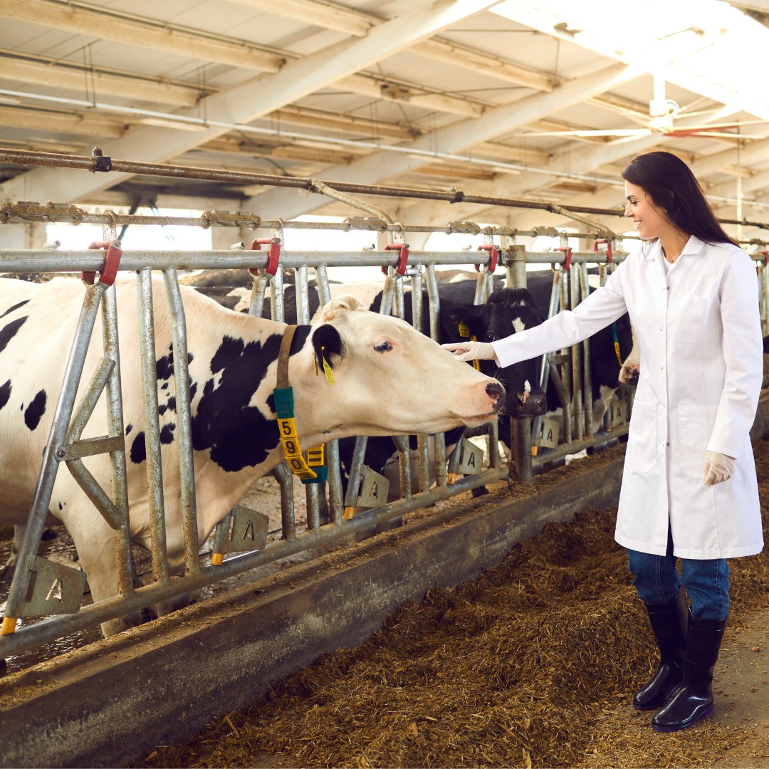 Veterinary Feed Supplements – Animal Medicine Supplier India