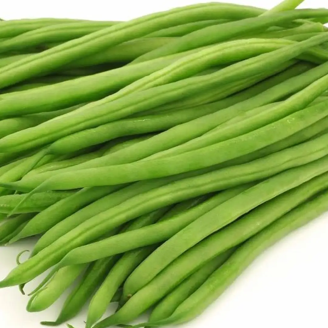 A Grade Green Haricot Beans  Organic Loose Packaging 20 Kg Minimum