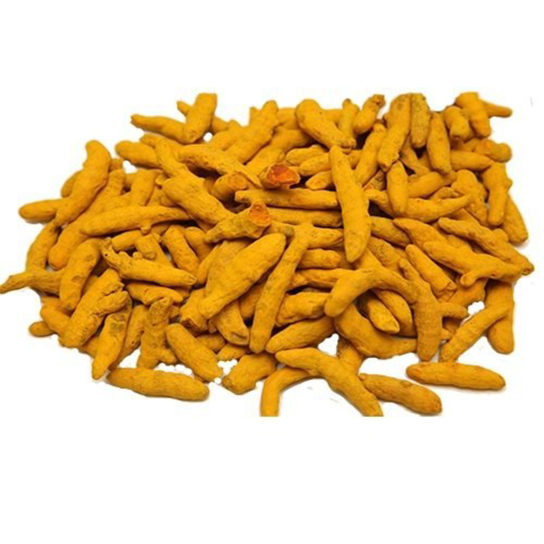 Nizam Turmeric Polished Finger, Curcuma Longa