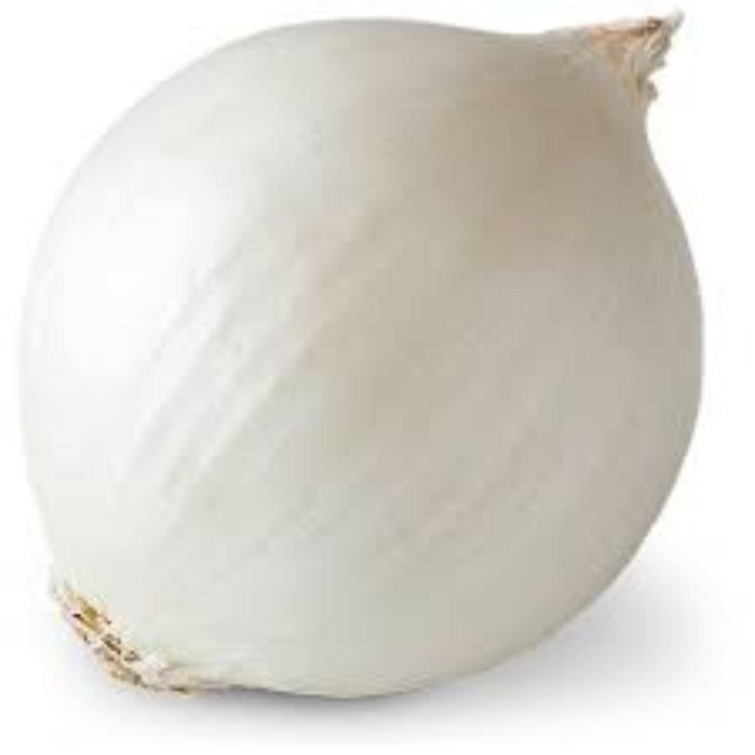 White Onion for Global Export and Wholesale Distribution