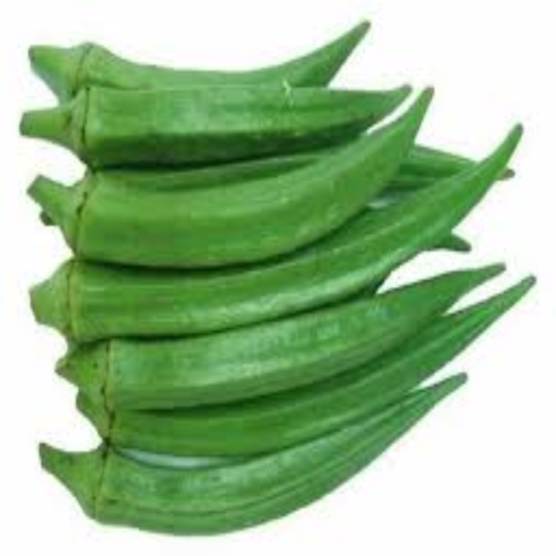 Green Short Okra Lady Finger Fresh Tender Bhindi Premium Quality for Indian Cooking and Export