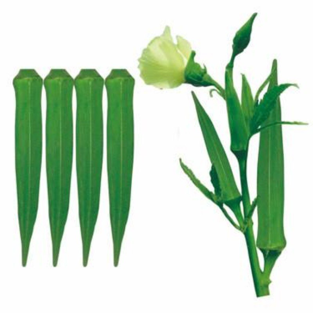 Green A Grade Lady Finger UAE Wholesaler