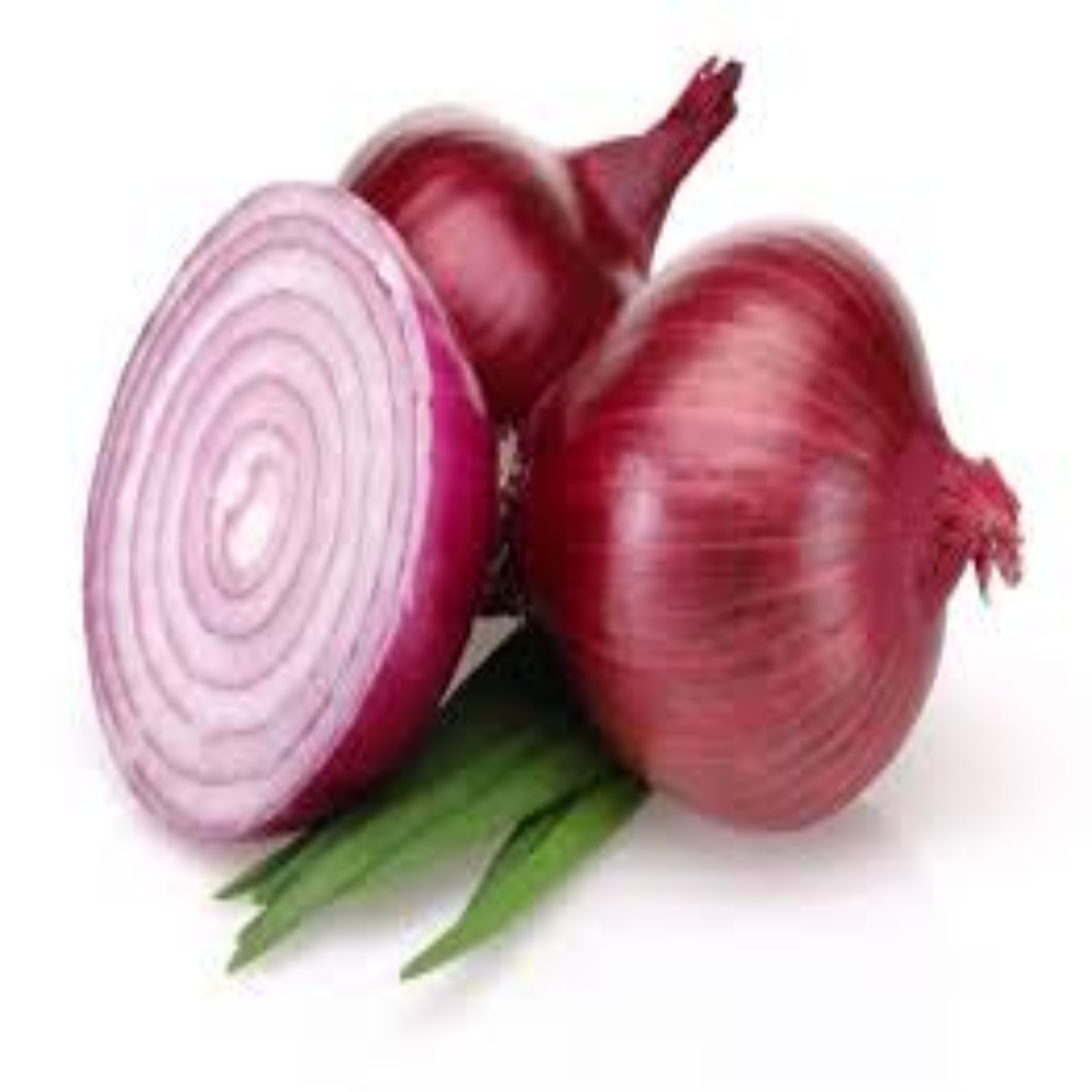 Wholesale Red Onion 1kg Yellow – Dubai UAE Exporter