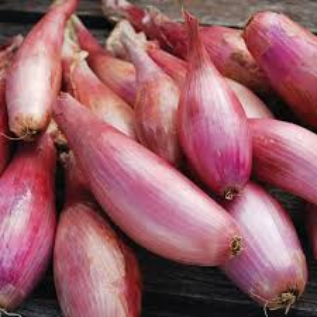 Wholesale Onion Shallots Supplier Dubai, UAE