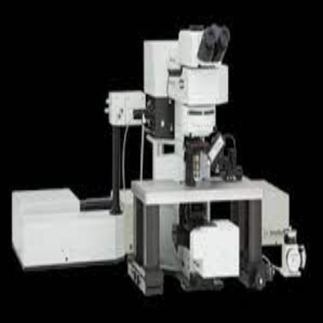 Multiphoton Confocal Microscopes For Deep Tissue Study