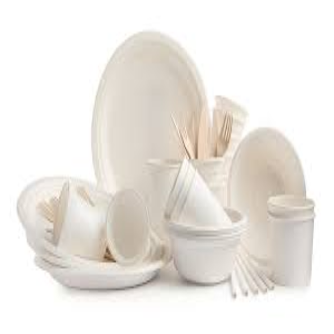 Disposable Plates and Cups Malaysia Catering Supply