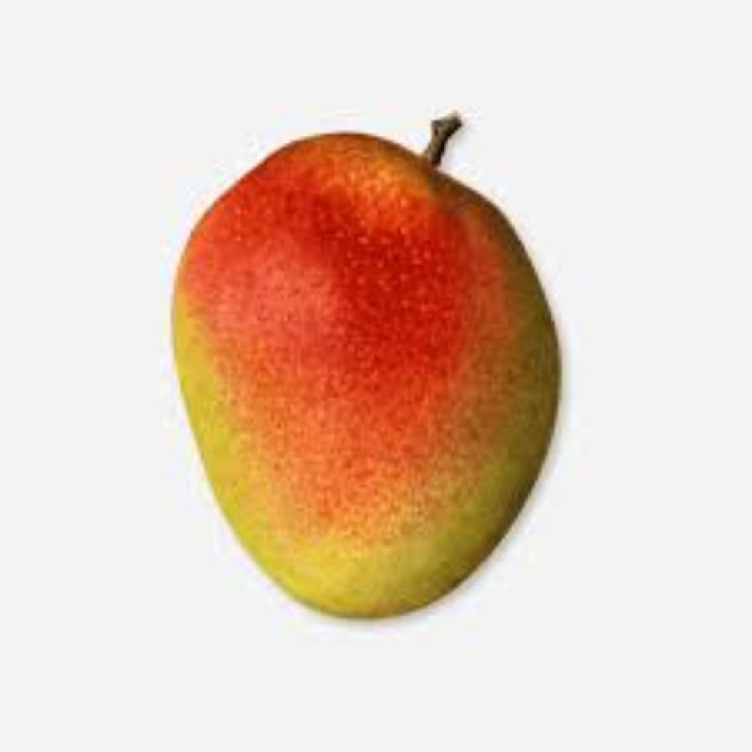 Tommy Atkins Mango Premium Export Variety Long Shelf Life Sweet Firm Fresh Tropical Fruit