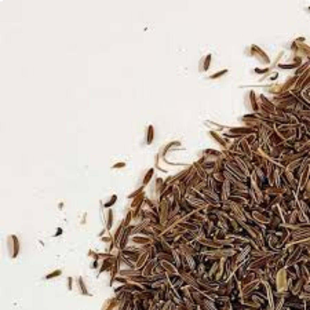 Wild Cumin Seeds for Rare Aroma and Premium Spice Trading