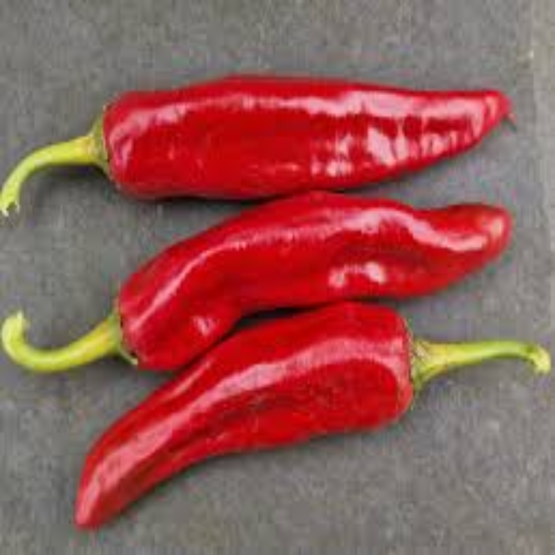 Guajillo Red Chilli for Authentic Flavor and Global Export