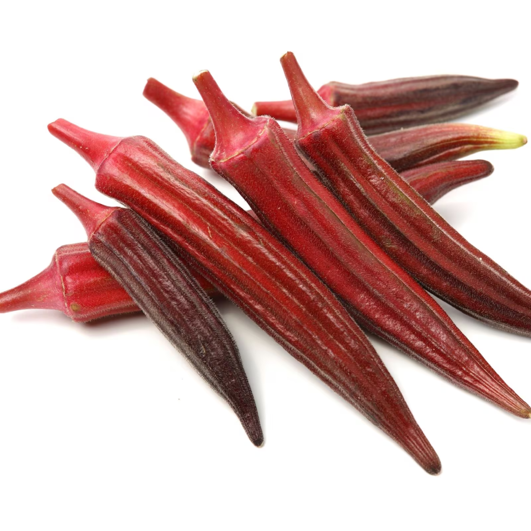 Red Short Okra Lady Finger Fresh Organic Bhindi Rich Color Nutritious Vegetable for Daily Cooking