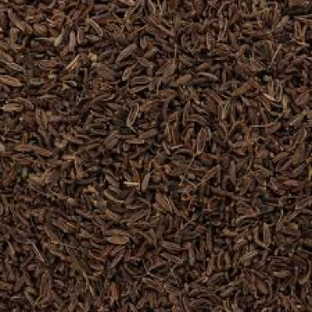 Wild Cumin Seeds Natural Aroma for Traditional Cooking
