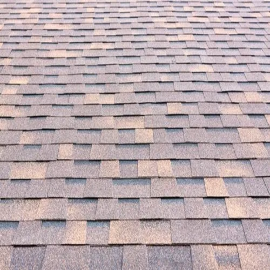 Wholesale Supplier of Technonicol Fiberglass Roofing Shingles