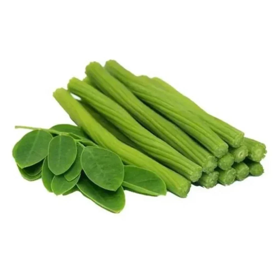 A Grade Fresh Green Drumstick Supplier – UAE