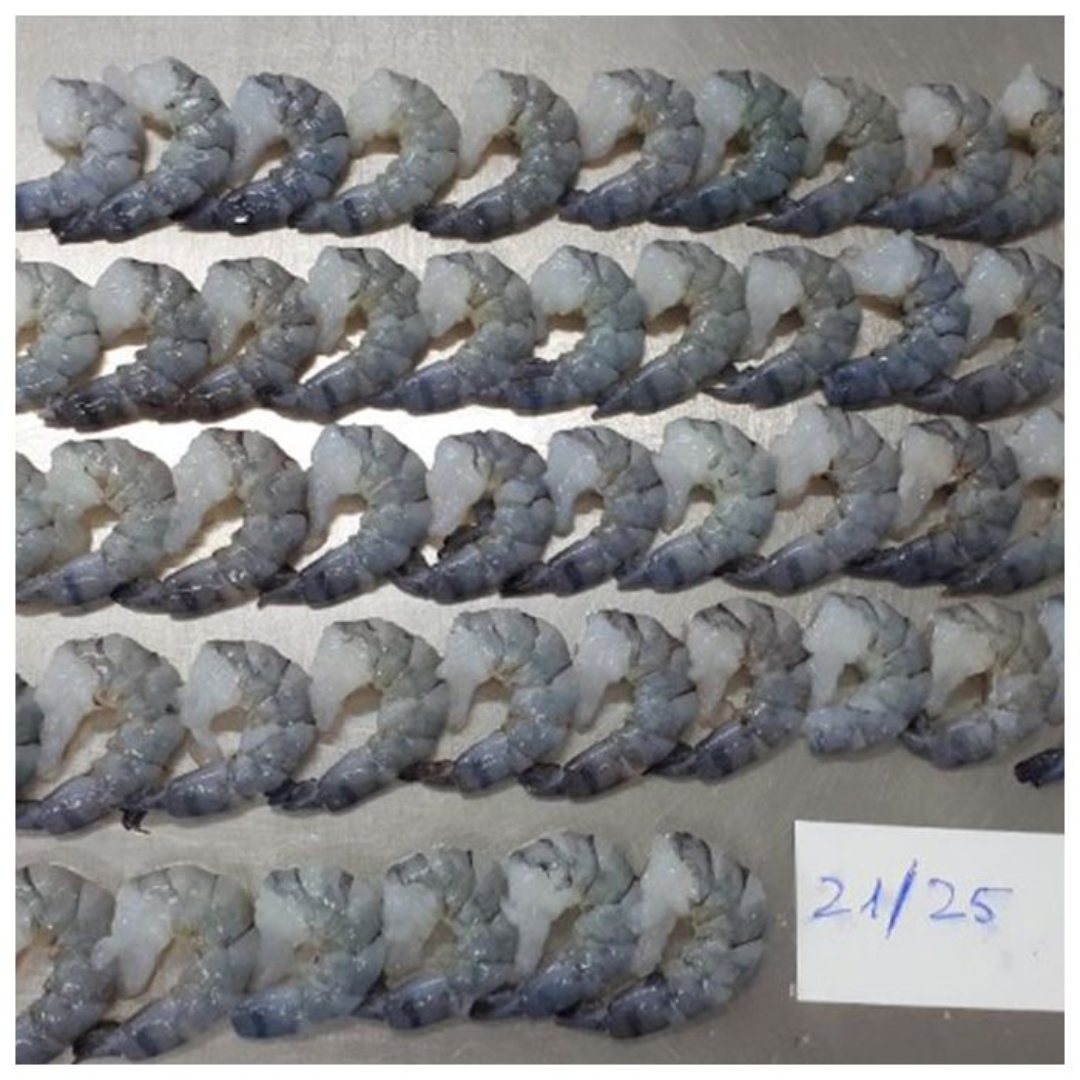 Black Tiger Shrimp Fresh Shellfish Supply Vietnam