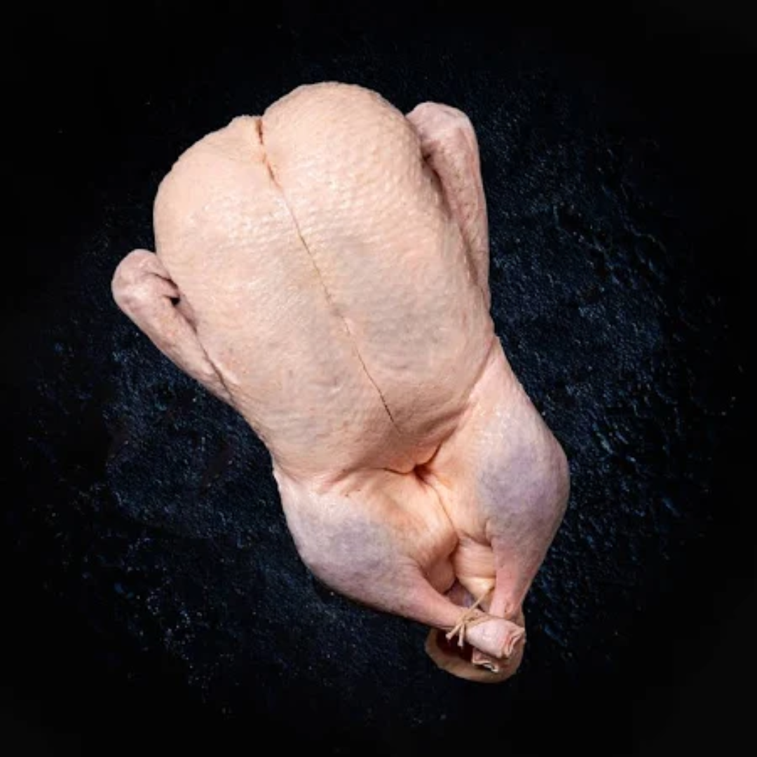 Whole Duck Halal Poultry Supplier United Arab Emirates