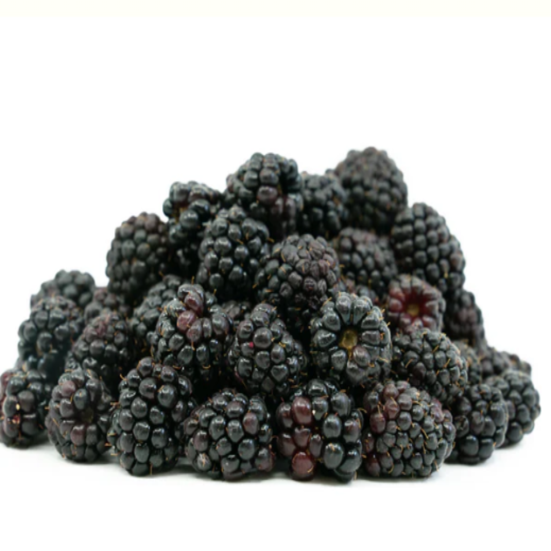 Fresh Blackberries Pack Premium Quality Sweet and Juicy Berries Rich in Antioxidants and Nutrients