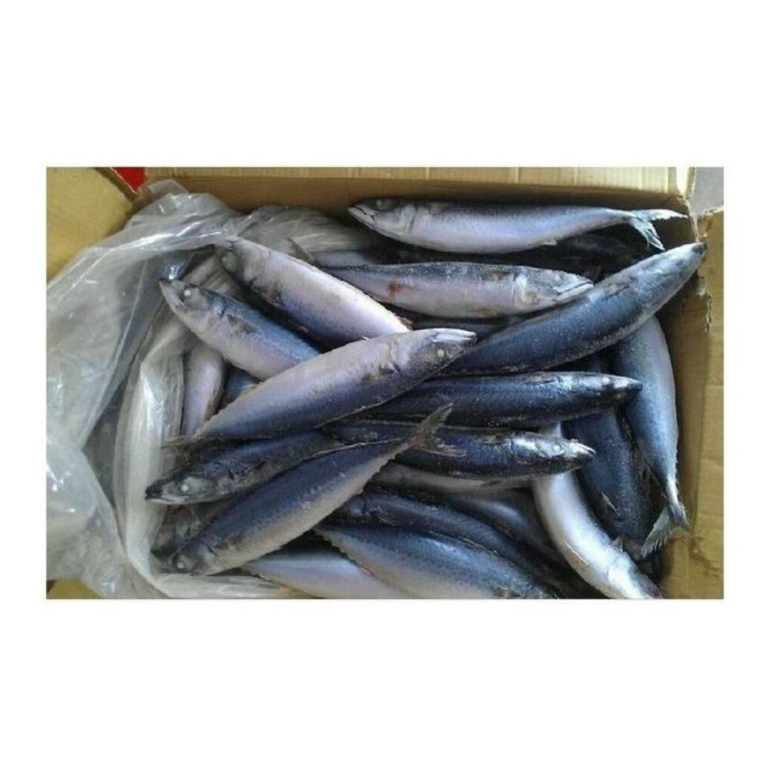 IQF Whole Mackerel Fish Premium Frozen Seafood Individually Quick Frozen Fresh Quality Fish