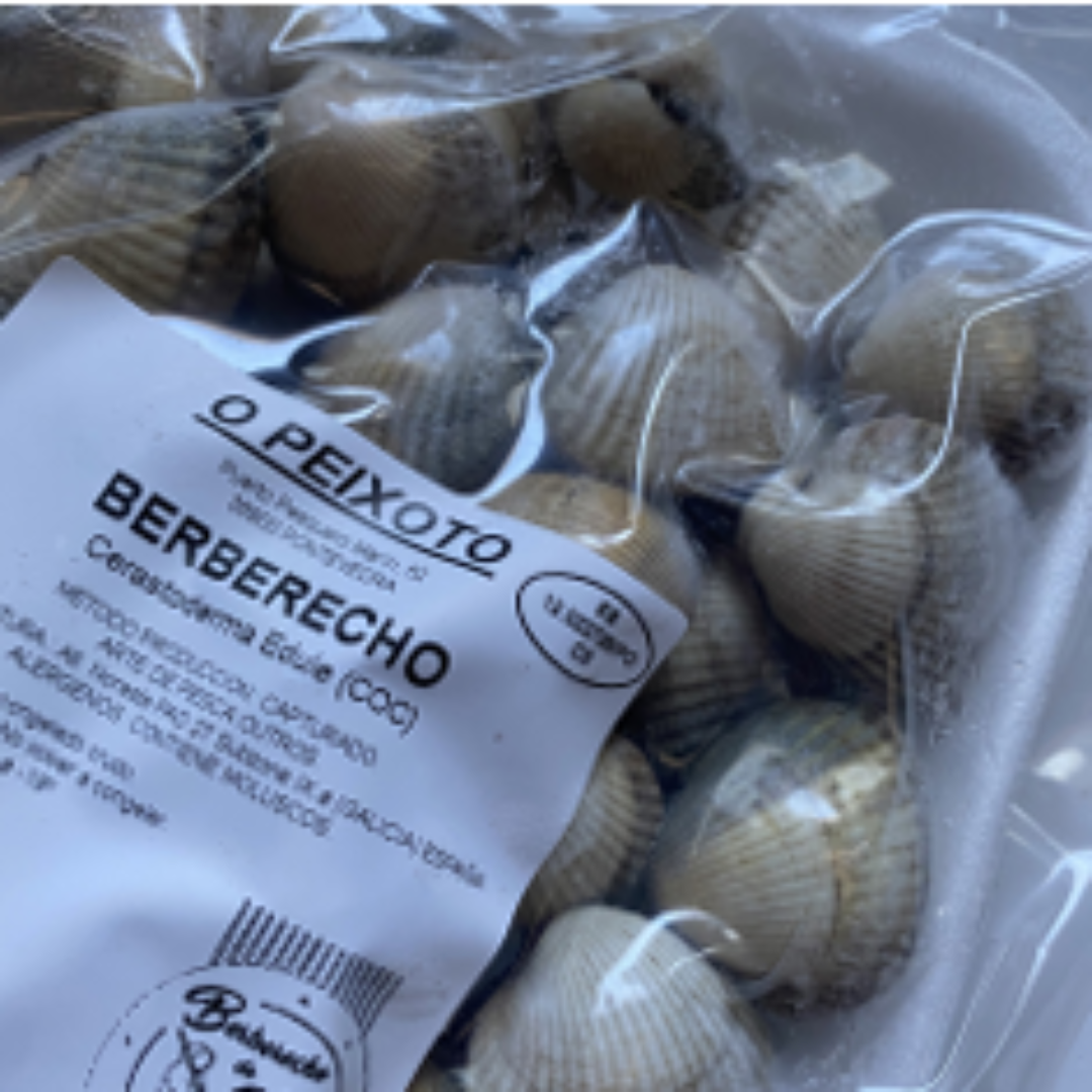 Buy Common Cockle Fresh Seafood Premium Quality Shellfish Online Store Delivery Fresh Taste
