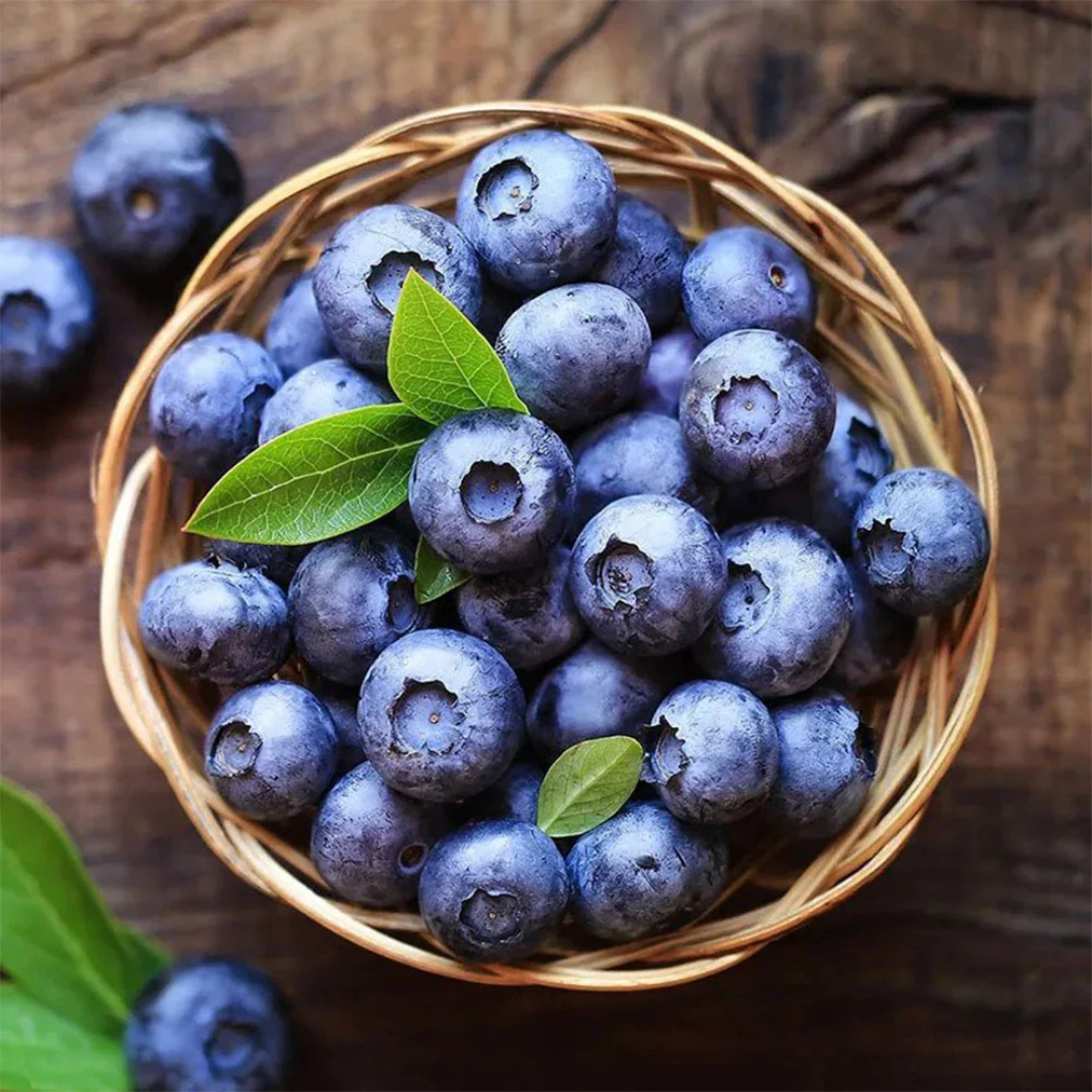 Buy Fresh Blueberries Premium Quality Antioxidant Rich Sweet Berries Healthy Fruit Online
