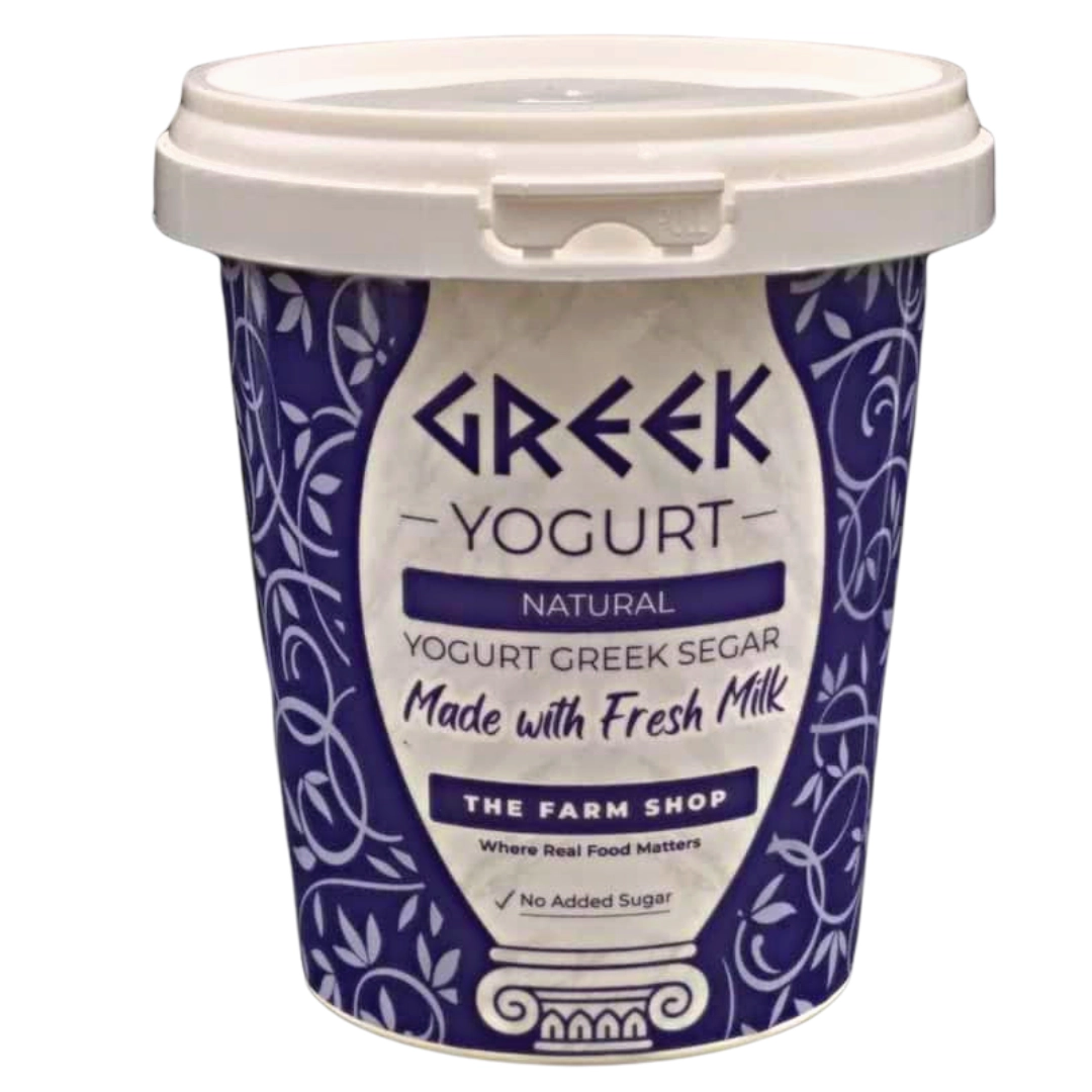 Natural Greek Yogurt 400g Healthy Dairy Malaysia