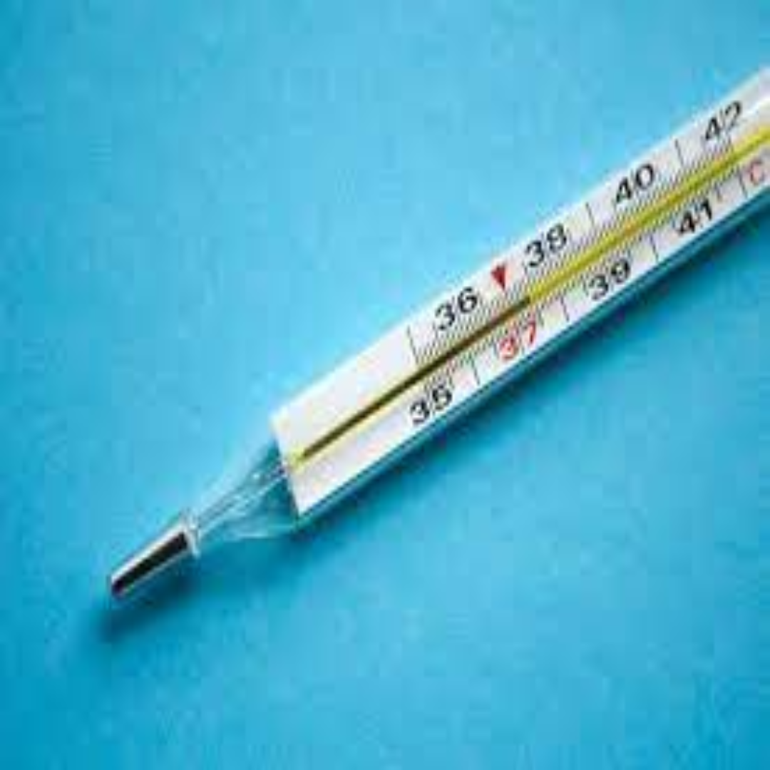 Digital Thermometers For Fast Temperature Readings