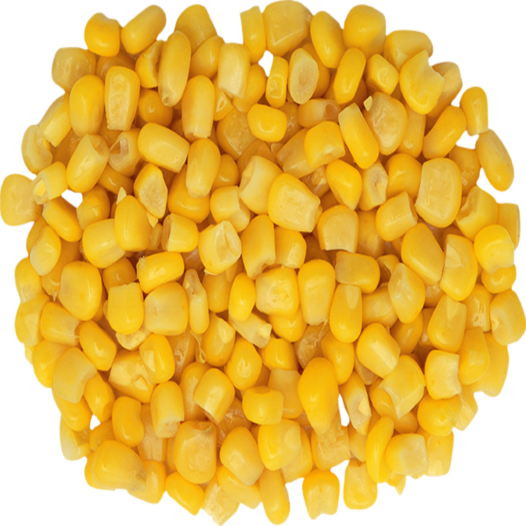 Wholesale Nutritious Corn Grain in UAE