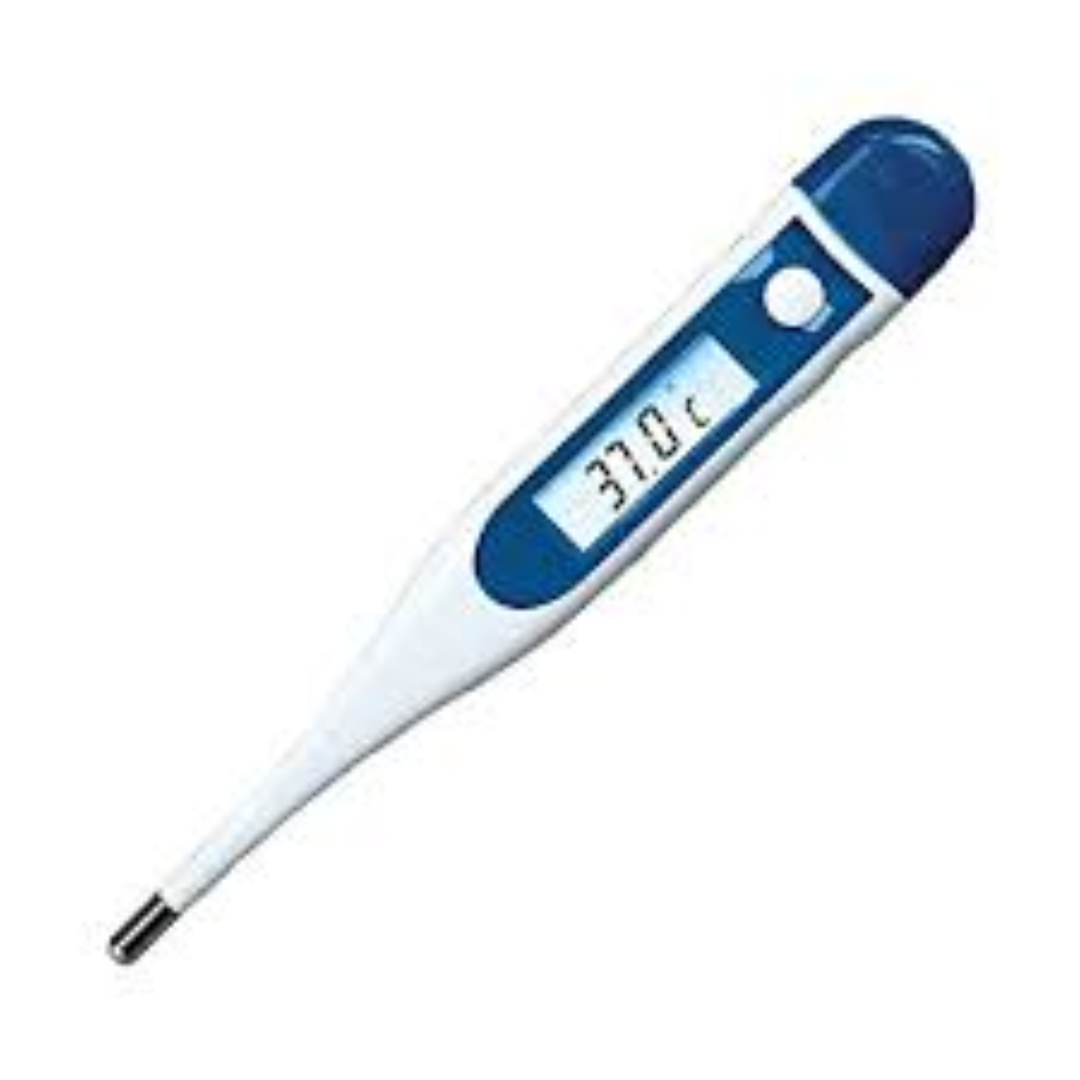Digital Thermometers For Fast Temperature Reading