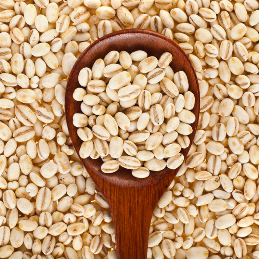 Barley Products Wholesale For Nutritious Meals