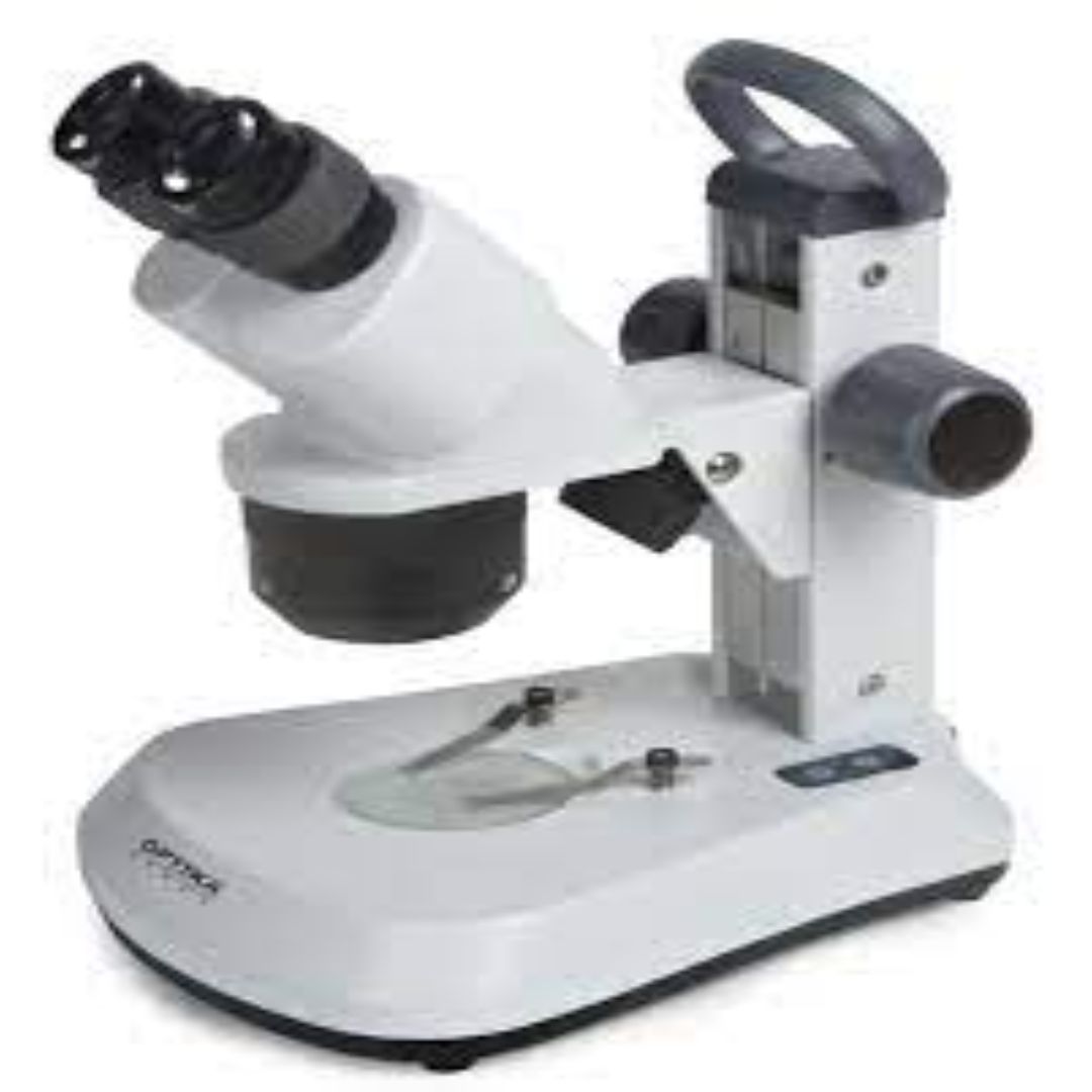 Stereo Microscopes For Detailed Laboratory Analysis