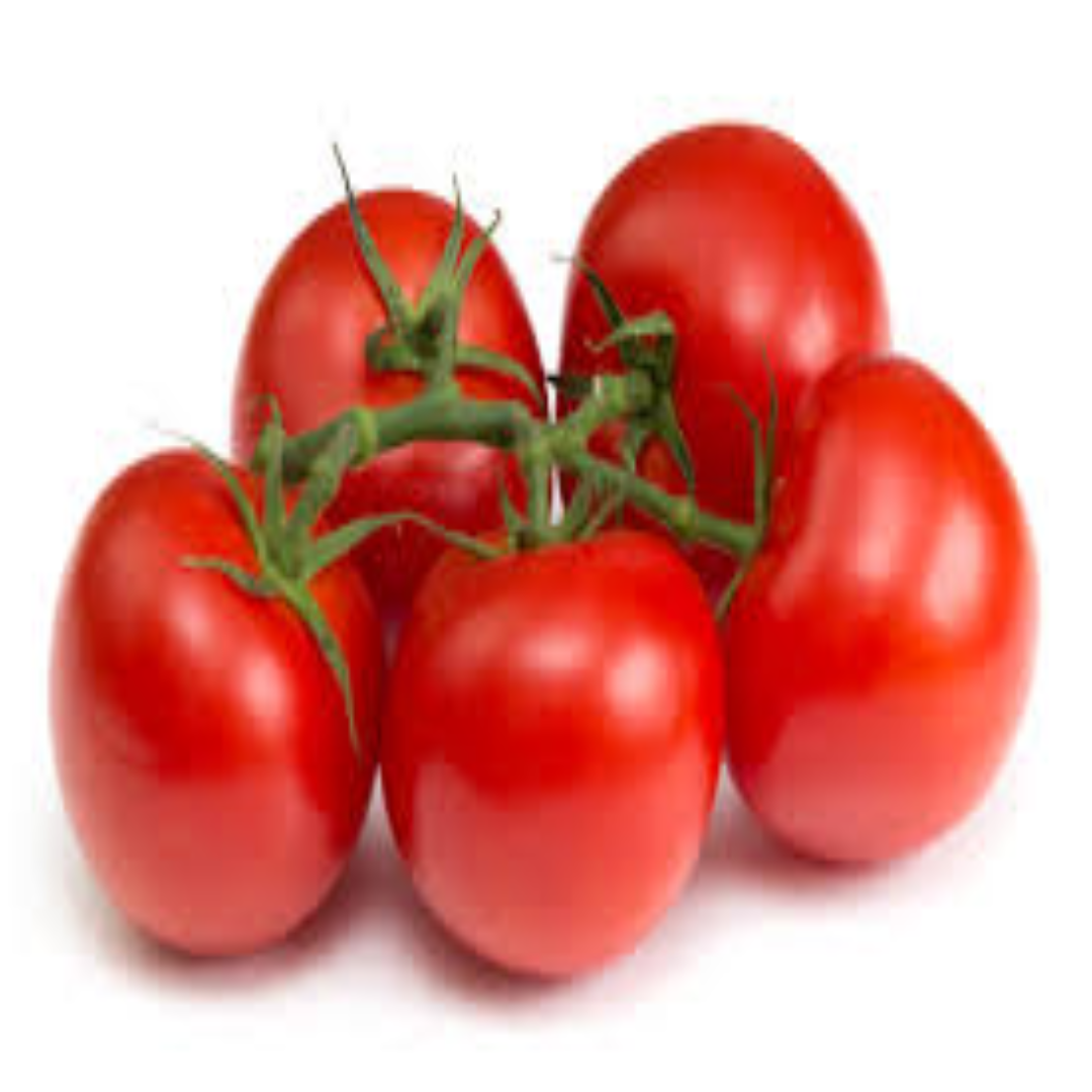 Vine Ripened Tomatoes Farm Fresh Naturally Sweet Juicy Tomatoes for Salads Sauces and Recipes