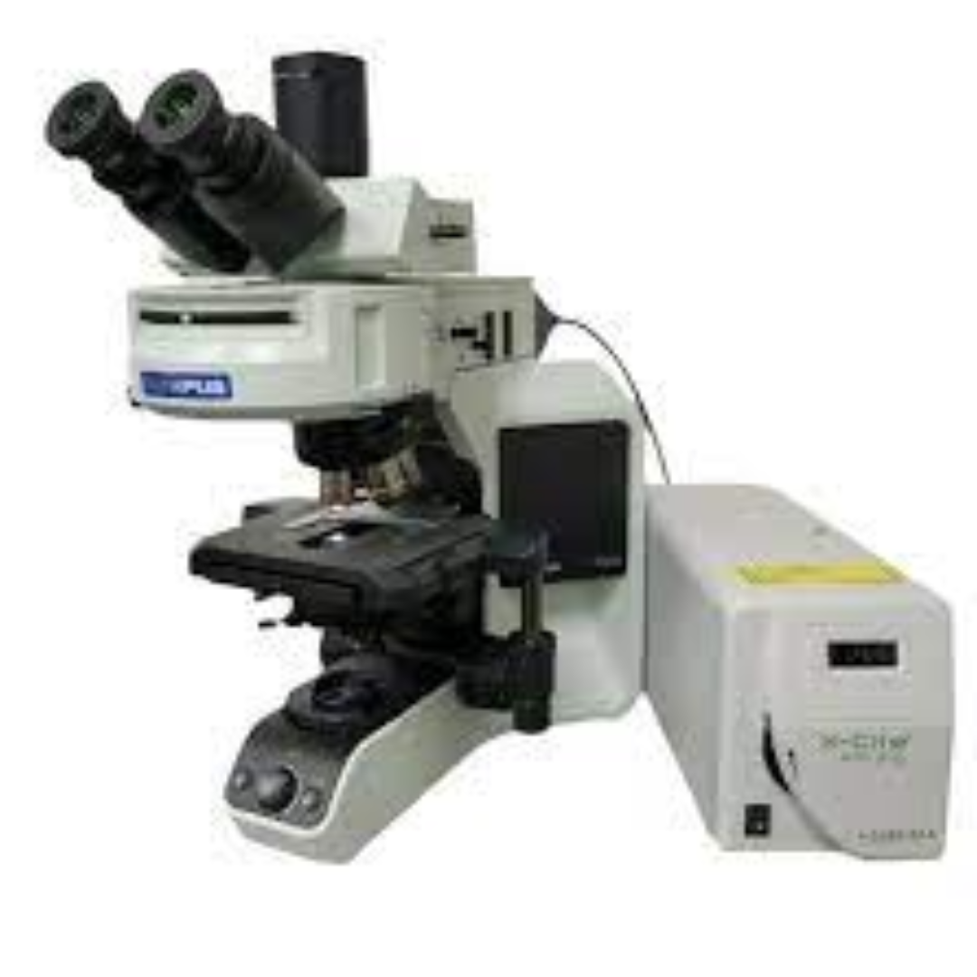Fluorescence Microscopes For Bright Sample Imaging
