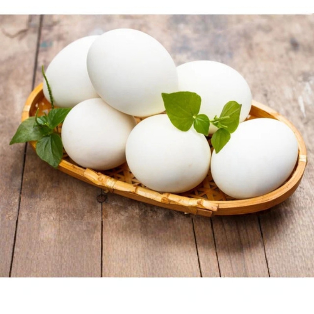 Fresh Eggs Wholesaler Premium Quality Farm Eggs Bulk Supply for Retailers Restaurants and Markets