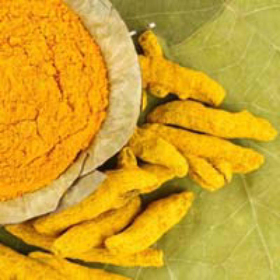 Eroda Finger Turmeric Powder Supplier Natural