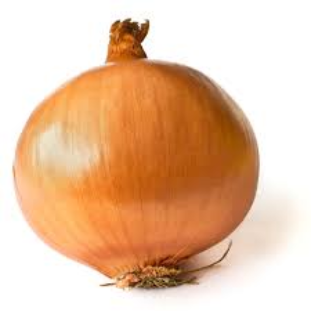 Fresh Yellow Onions for Daily Cooking and Trade Supply