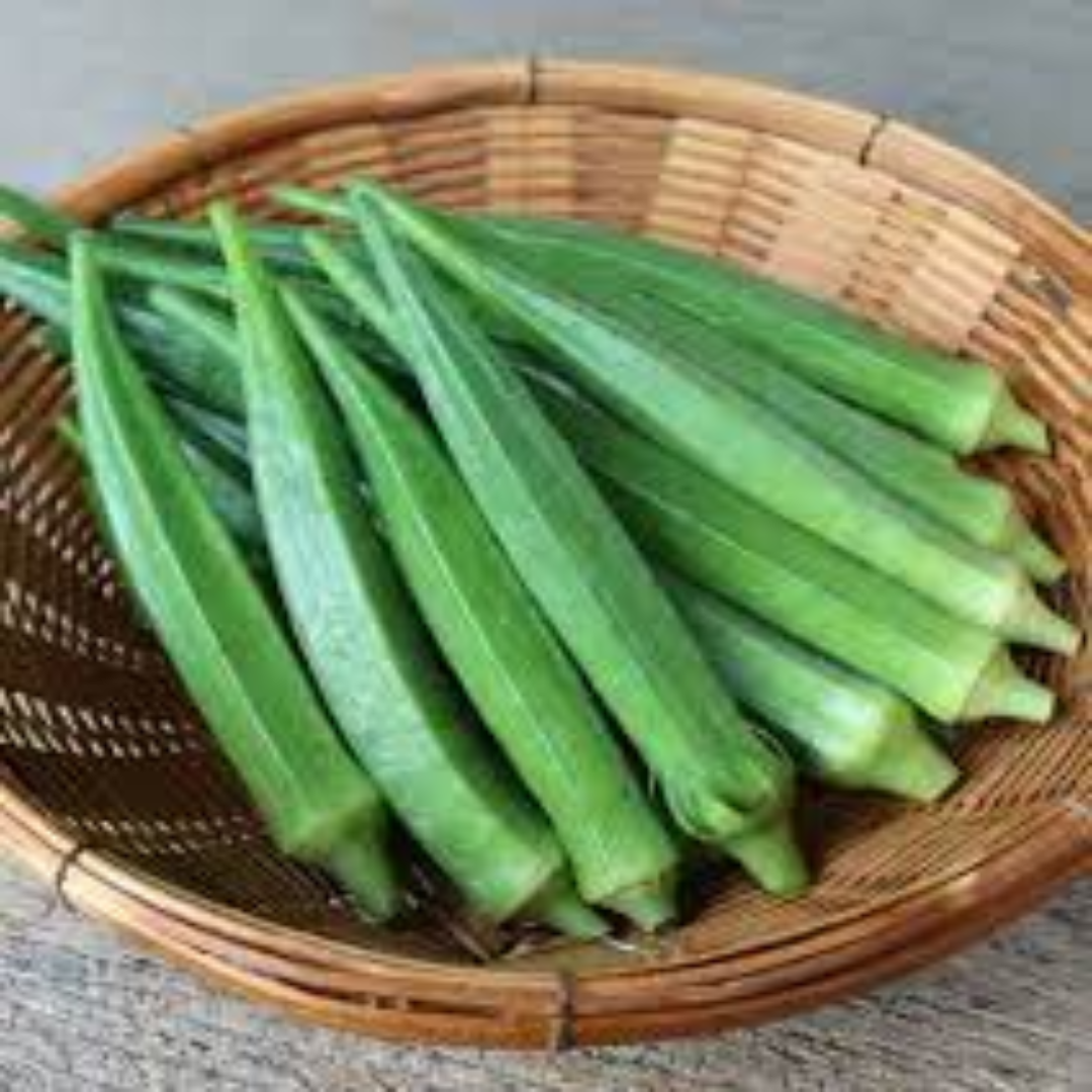 Okra Green Short Lady Finger for Tender Daily Recipes