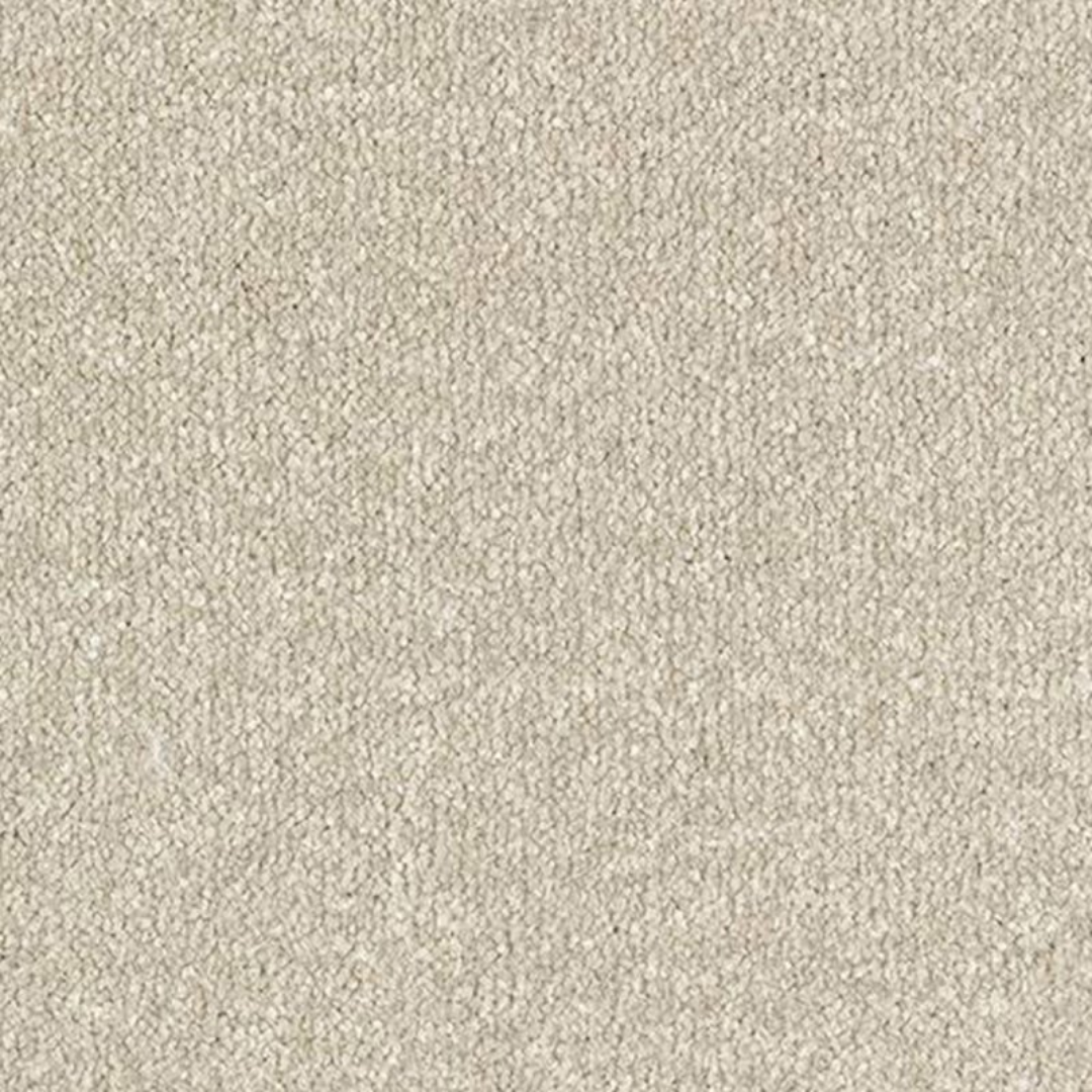 Stainfree Ultra Parchment Carpet – Flooring Supplier UK