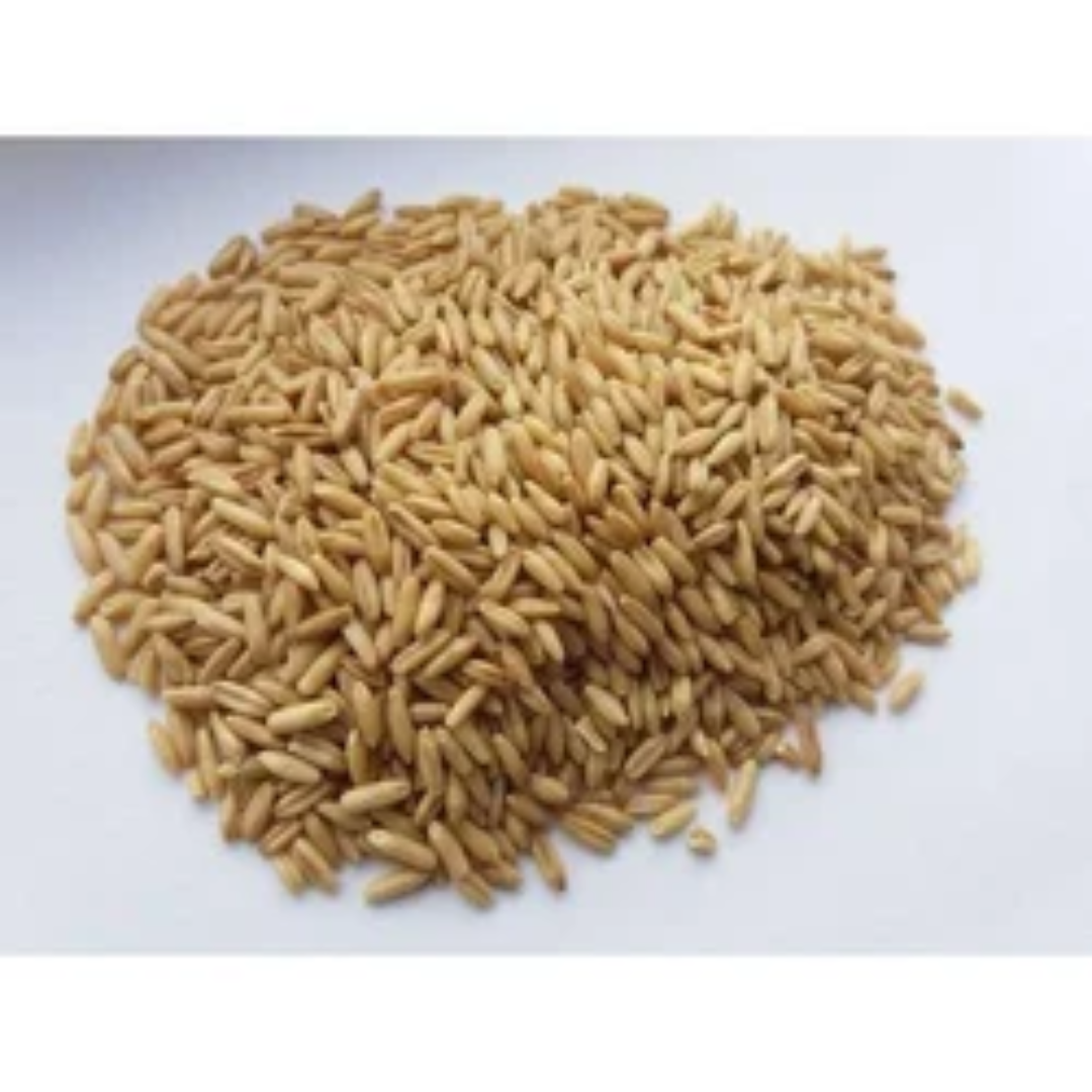 Wholesale Sakaria Australian Hulled Groats Oats – High in Protein, PP Woven Bags