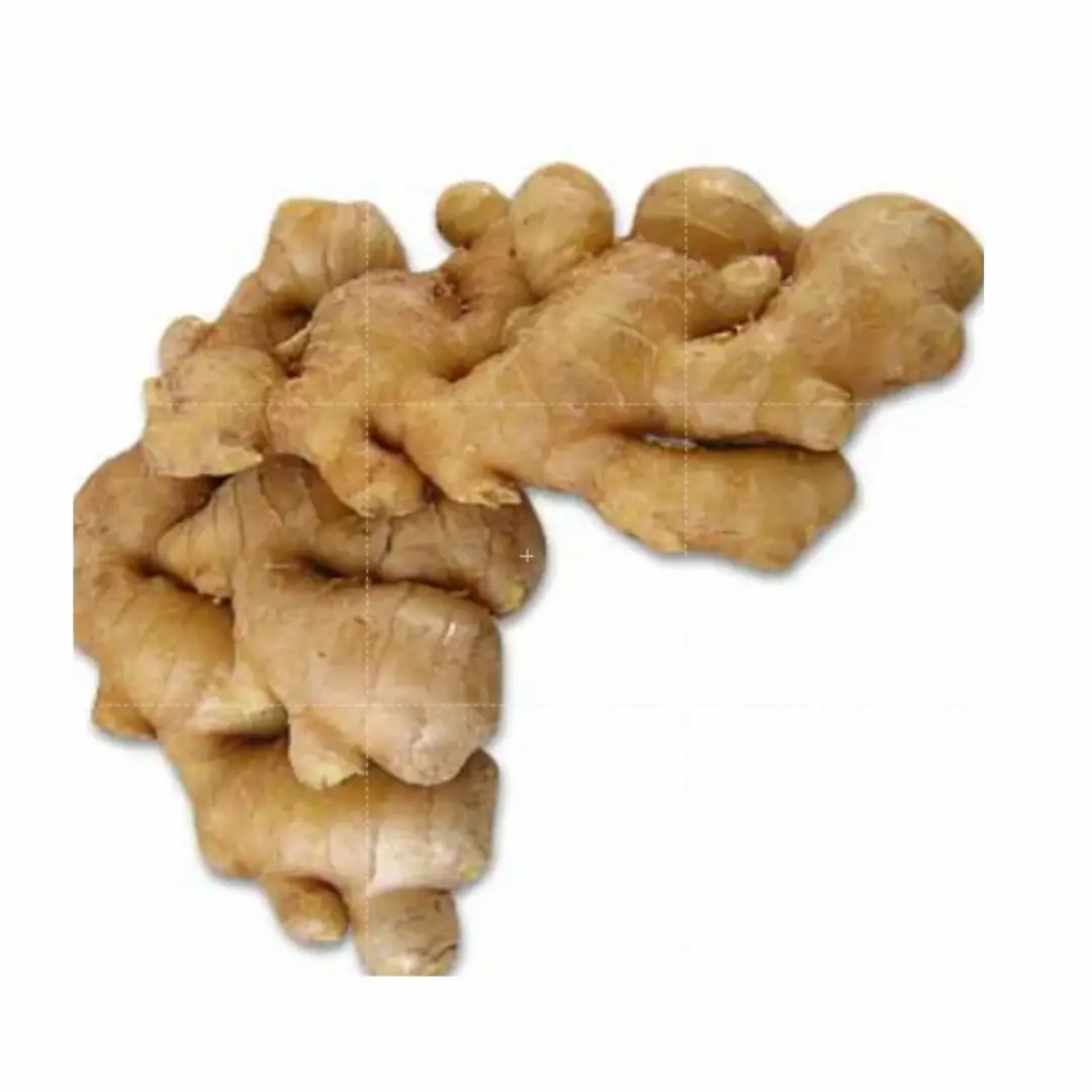 Rich Flavor Fresh Ginger – Wholesale & Supplier from India
