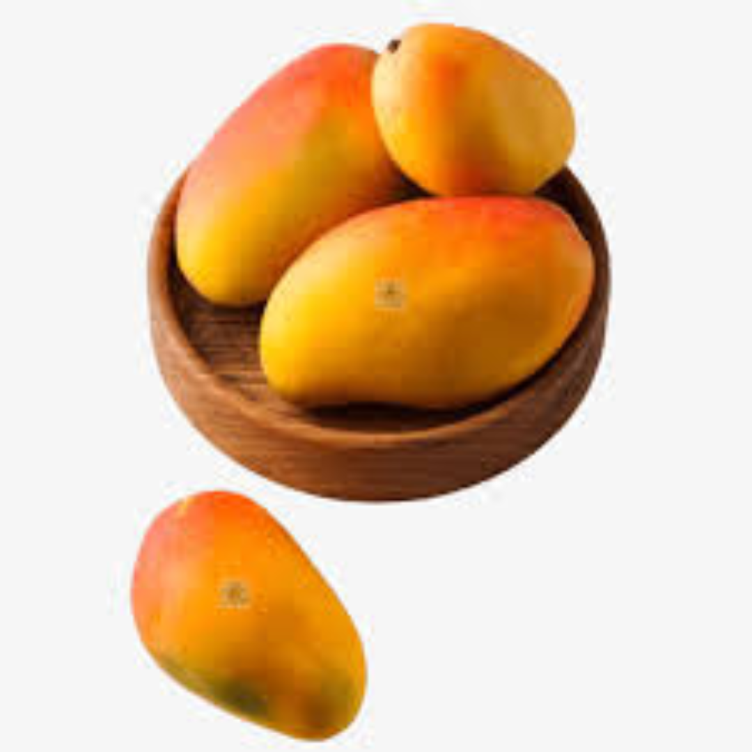 Kesar Mango for Overseas Markets and Premium Export Quality