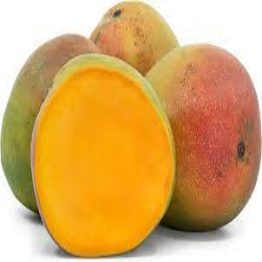 Kent mango