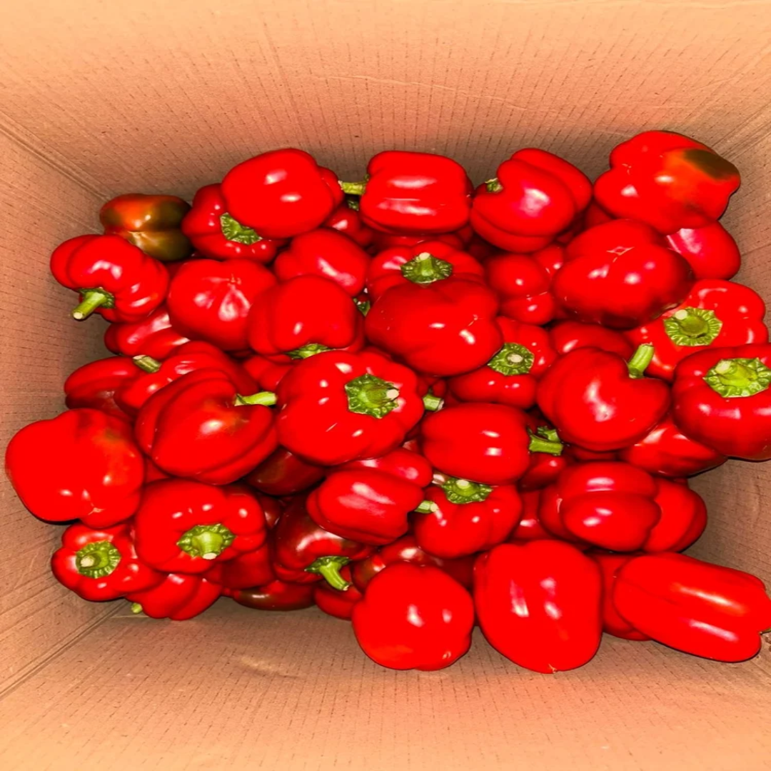 A Grade Loose Red Capsicum