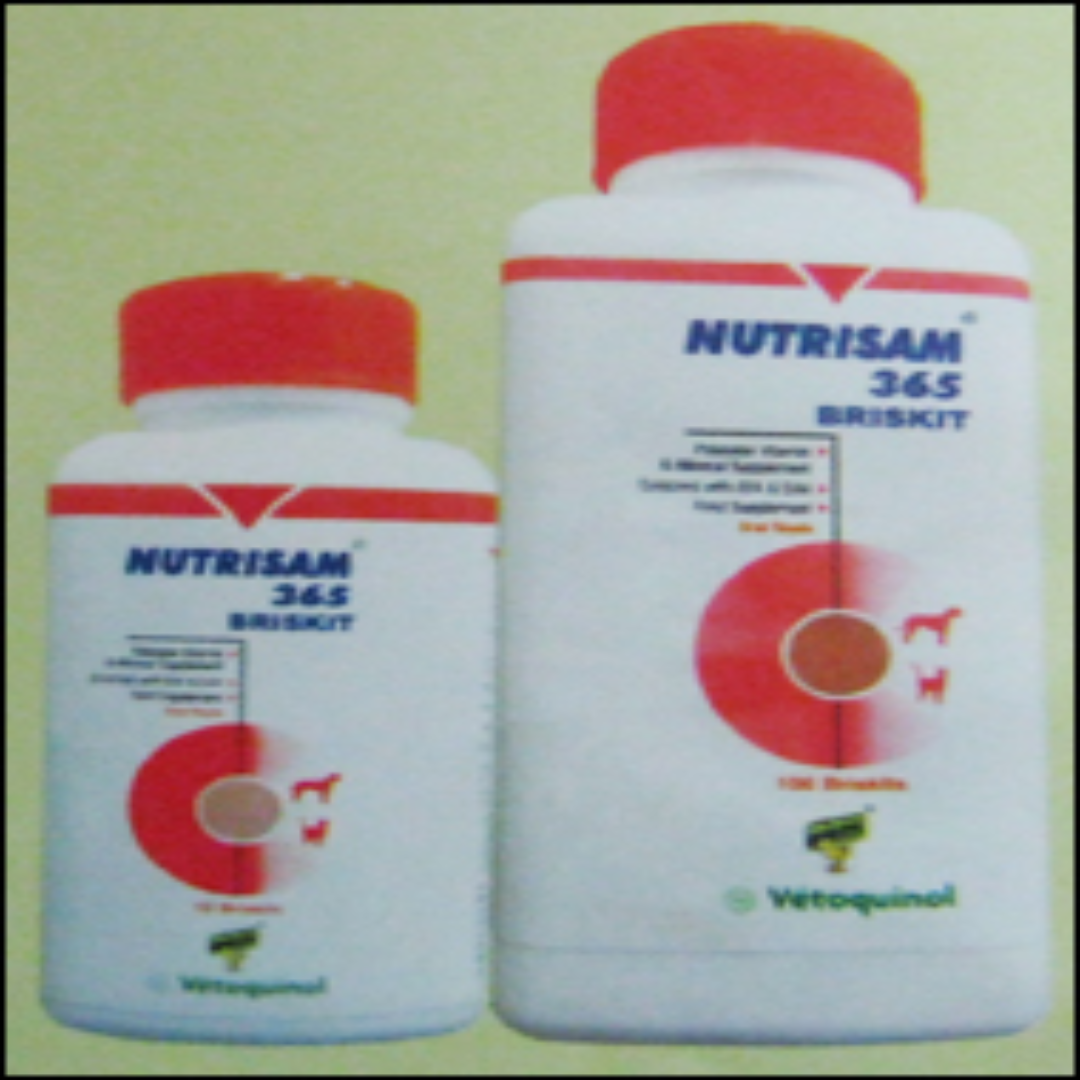 Nutrisam 365 Briskits – Nutritious & Tasty Health Snack