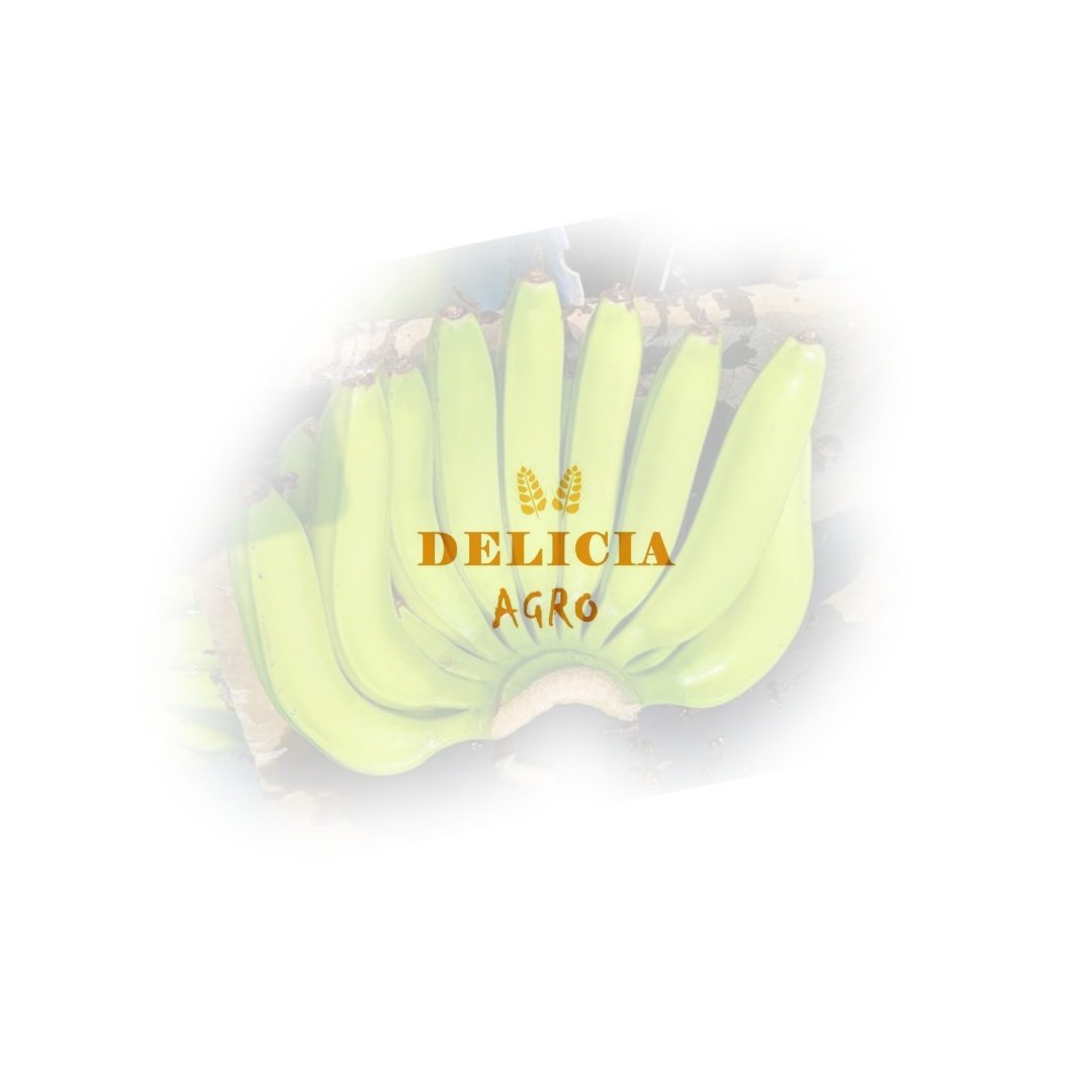 Delicia Banana: Fresh, Sweet, and Delicious Taste 