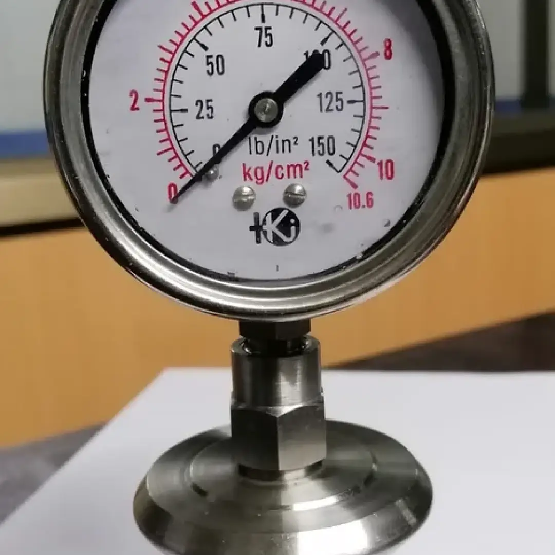  2.5-inch Compact Diaphragm Gauge Industrial Precision