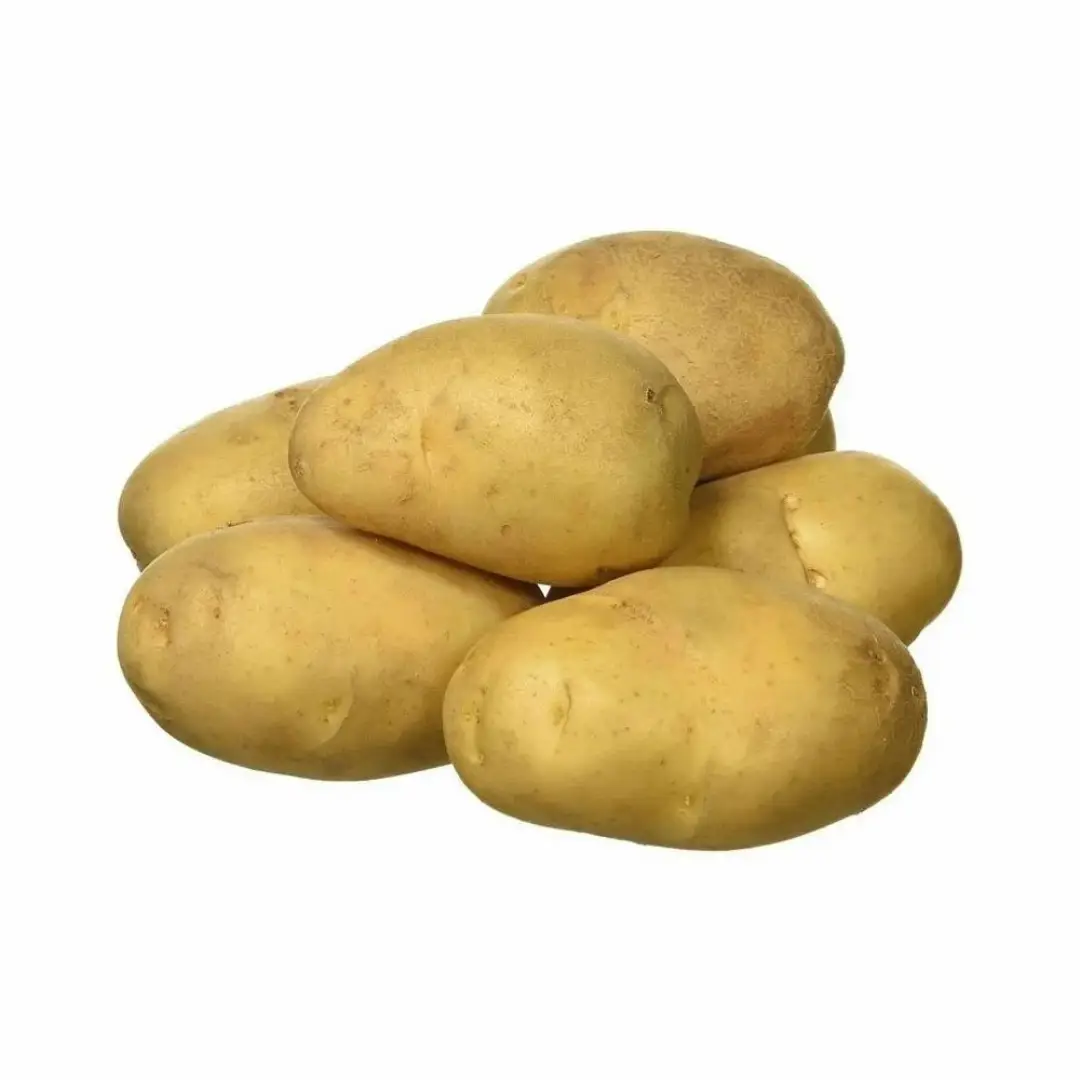 Uttar Pradesh A Grade Organic Potatoes Oval Fresh & Loose