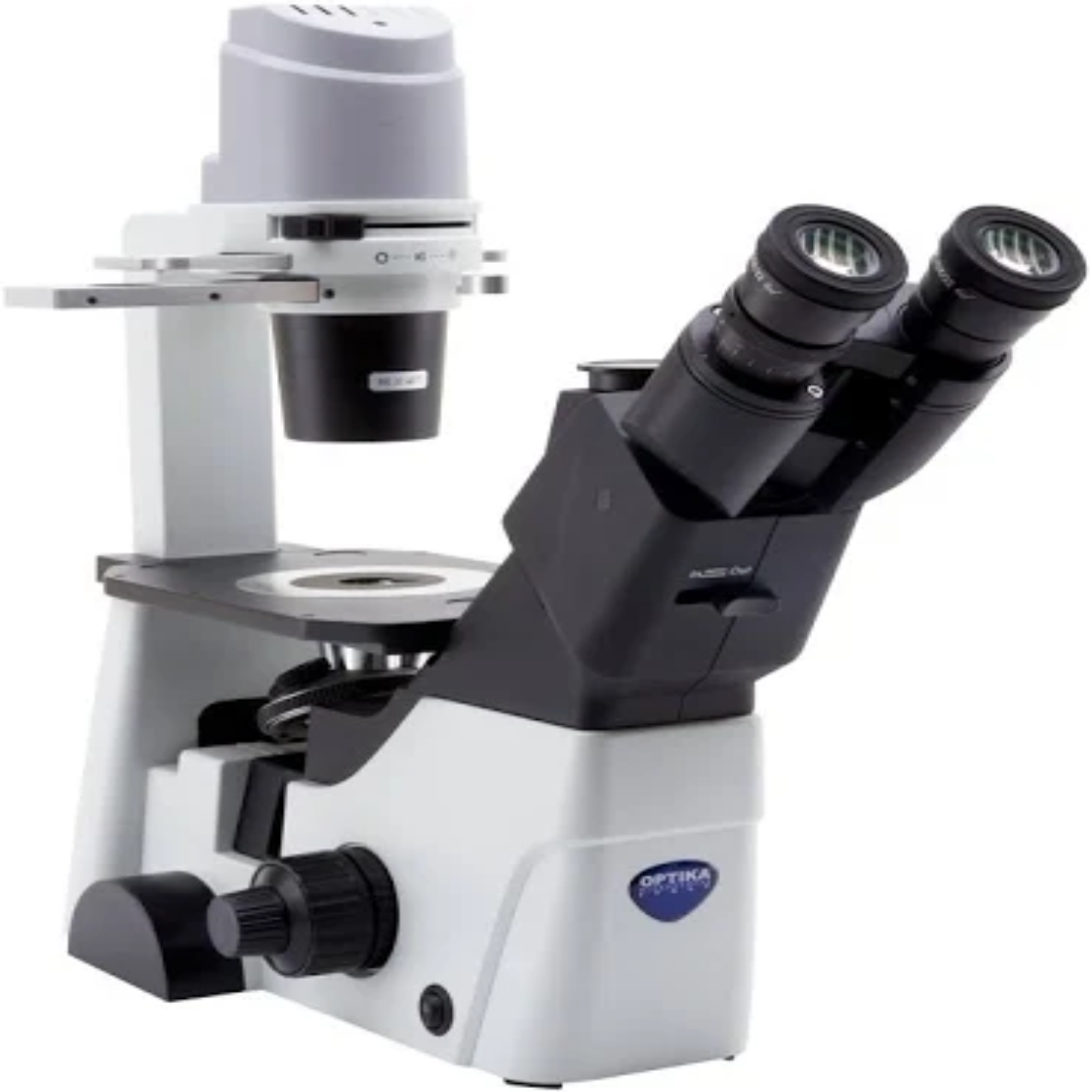 Advanced Scanning Ion Conductance Microscopy for Live Cells