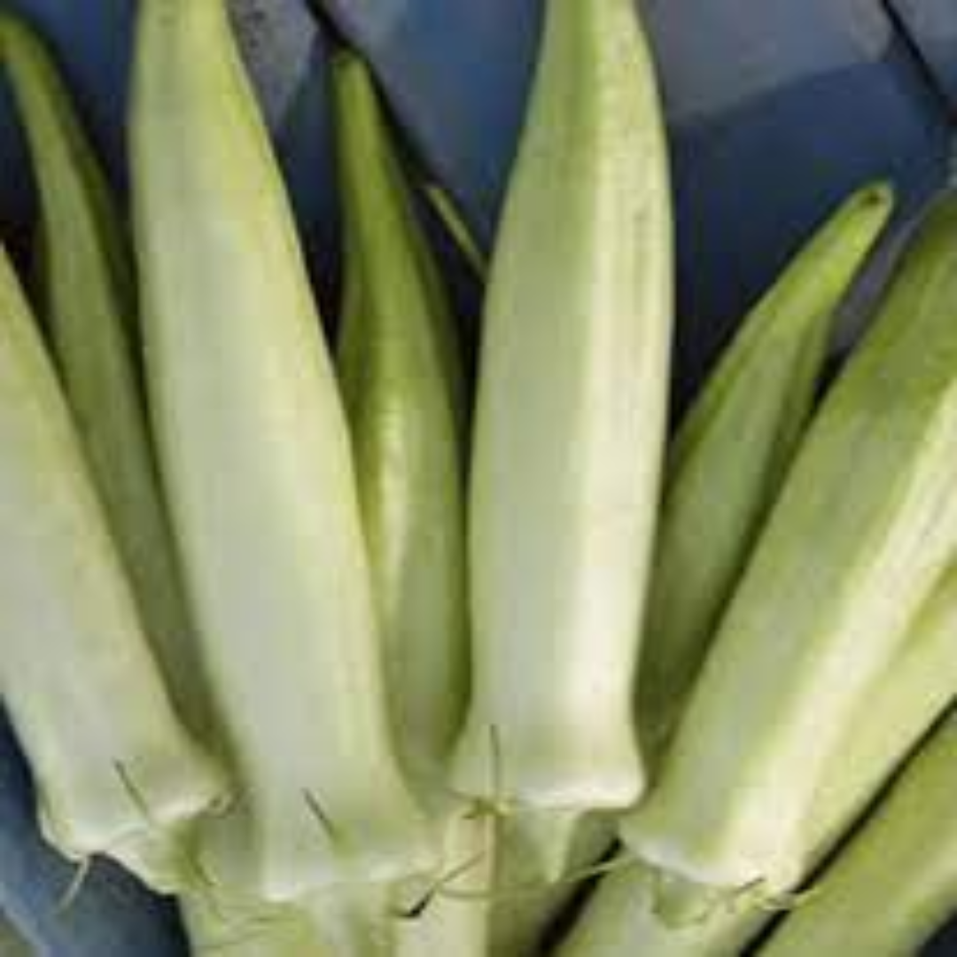 Okra White Lady Finger Supplier For Fresh Veg
