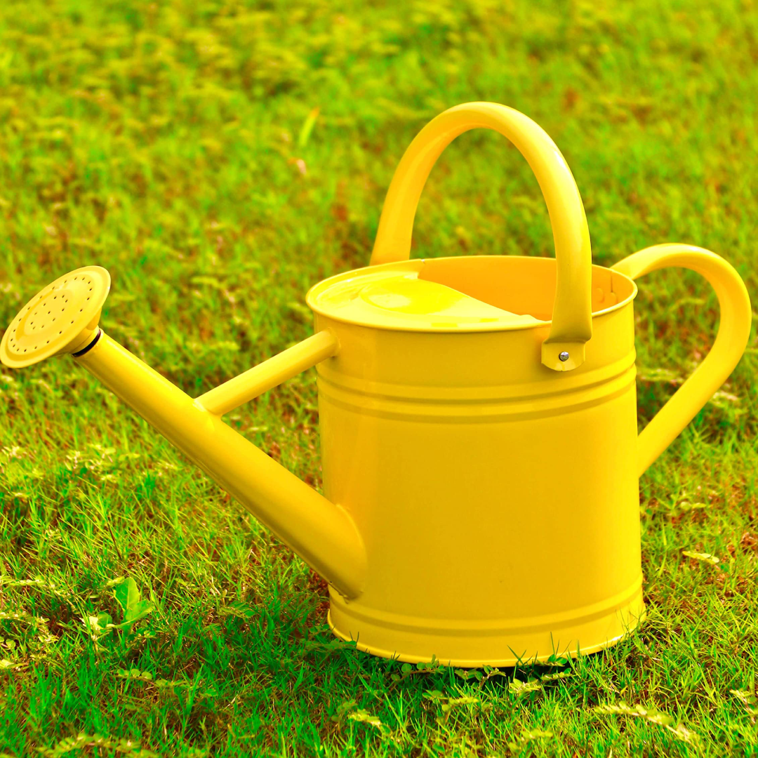 Wholesale Garden Plants Plastic Watering Can Supplier United Arab Emirates